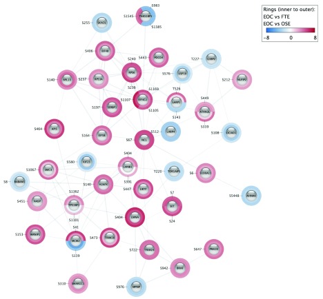 Visualize omics data on networks with Omics Visualizer, a Cytoscape App.
